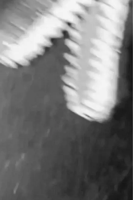 Dinosaur Farm B&W