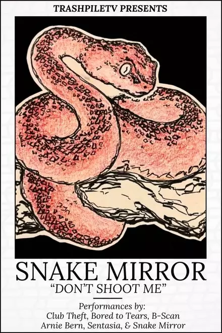 Don't Shoot Me: The Snake Mirror Weekend Tour