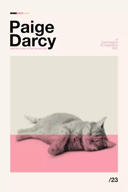 Paige Darcy: Reluctant Detective