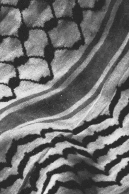 The City and Her Stones